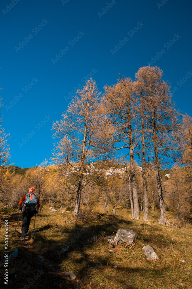 Fototapeta premium trekking