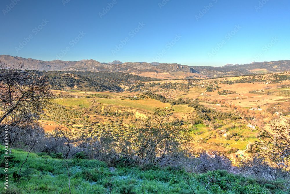 Andalusian countryside, panorama from Ronda, Spain
