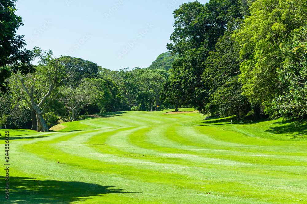 Golf Hole Fairway Green Scenic Course