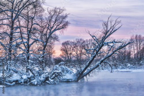 Snowy frozen landscape of sunrise on lakeside with trees © photollurg