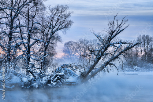 Snowy frozen landscape of sunrise on lakeside with trees © photollurg