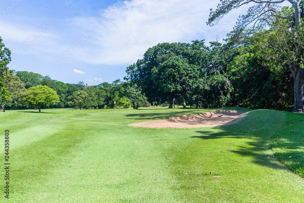 Fototapeta premium Golf Course Green Flagstick Nature Reserve