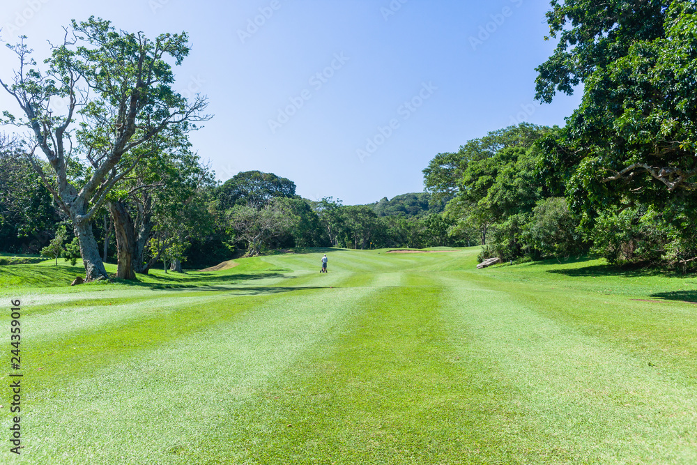 Golf Hole Player Walking Fairway Scenic Course Golf Hole Player Walking Fairway Scenic Course