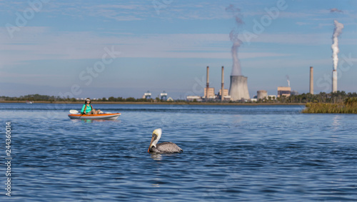 Brown Pelican and kayaker with a coal-fired power plant in the background