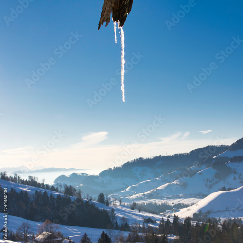 Eiszapfen an Baum mit Blick in die schneebedeckten Berge