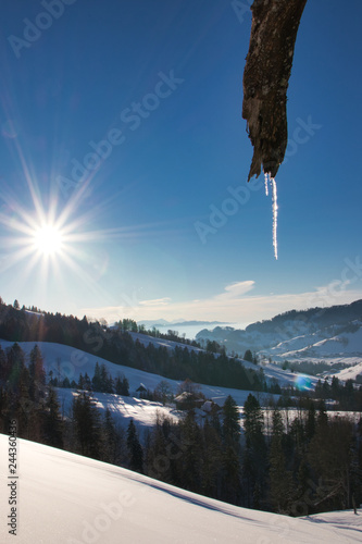 Obraz na płótnie Eiszapfen in der Wintersonne w salonie