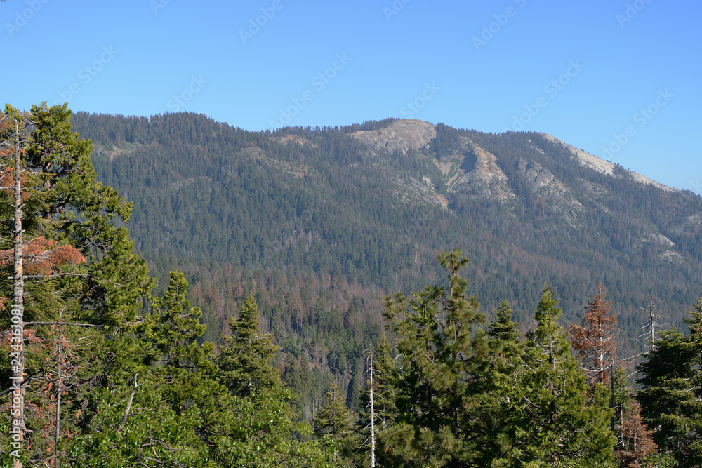 Sequoia National Park mountain landscape, California, USA