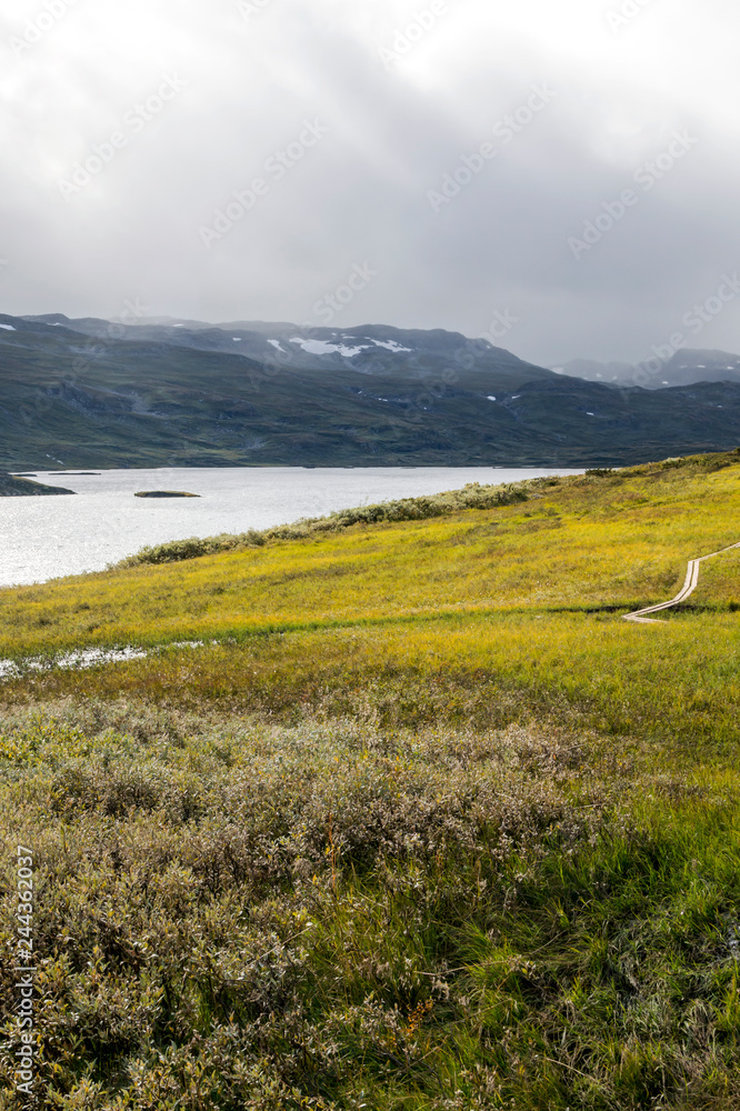 Lake in the prairies of the interior of southern Norway on a cloudy day.