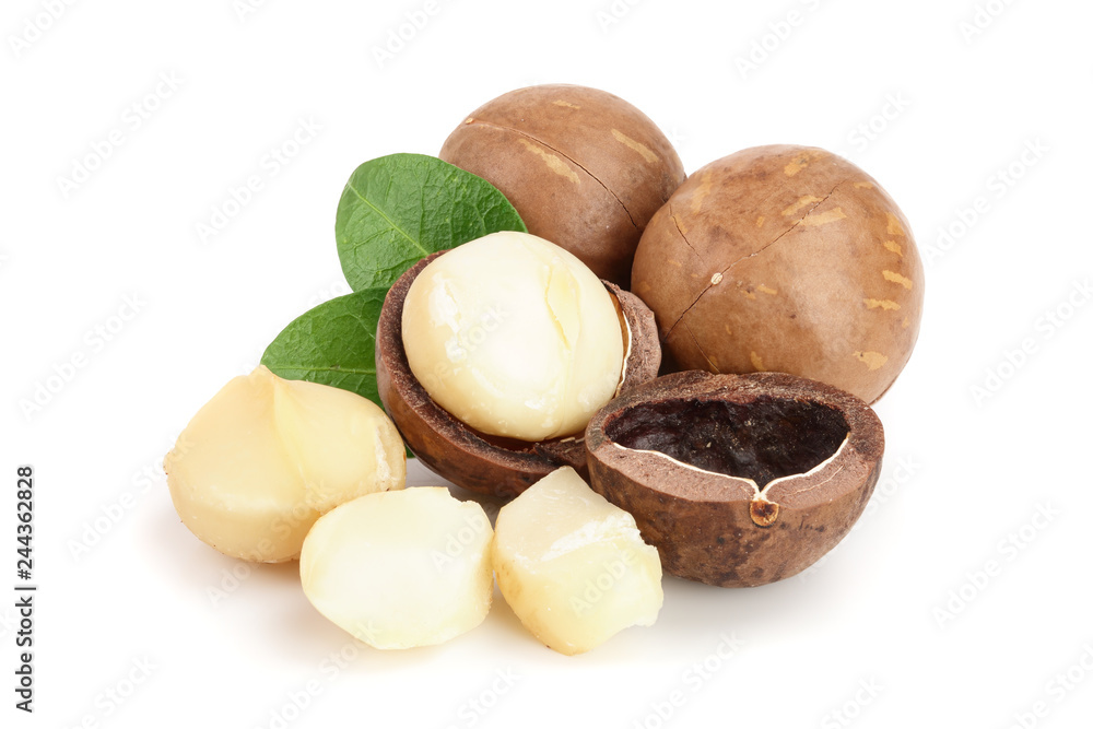 Shelled and unshelled macadamia nuts isolated on white background Shelled and unshelled macadamia nuts isolated on white background