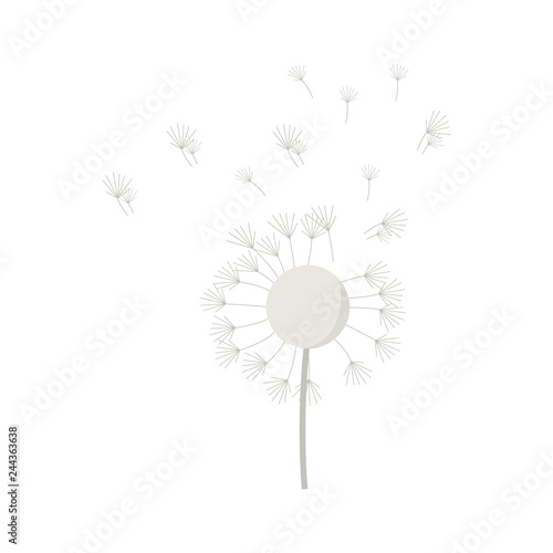 Dandelion on white background for graphic and web design  Modern simple vector sign. Internet concept. Trendy symbol for website design web button or mobile app