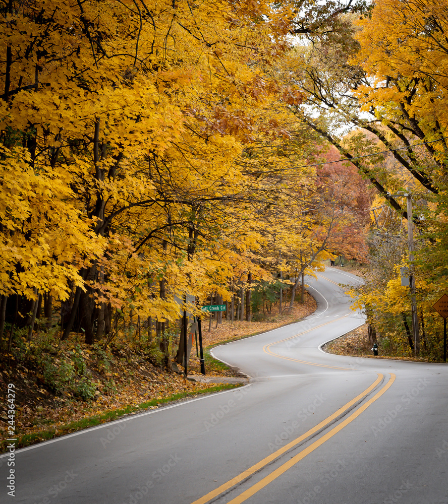 Obraz premium Road to WInter