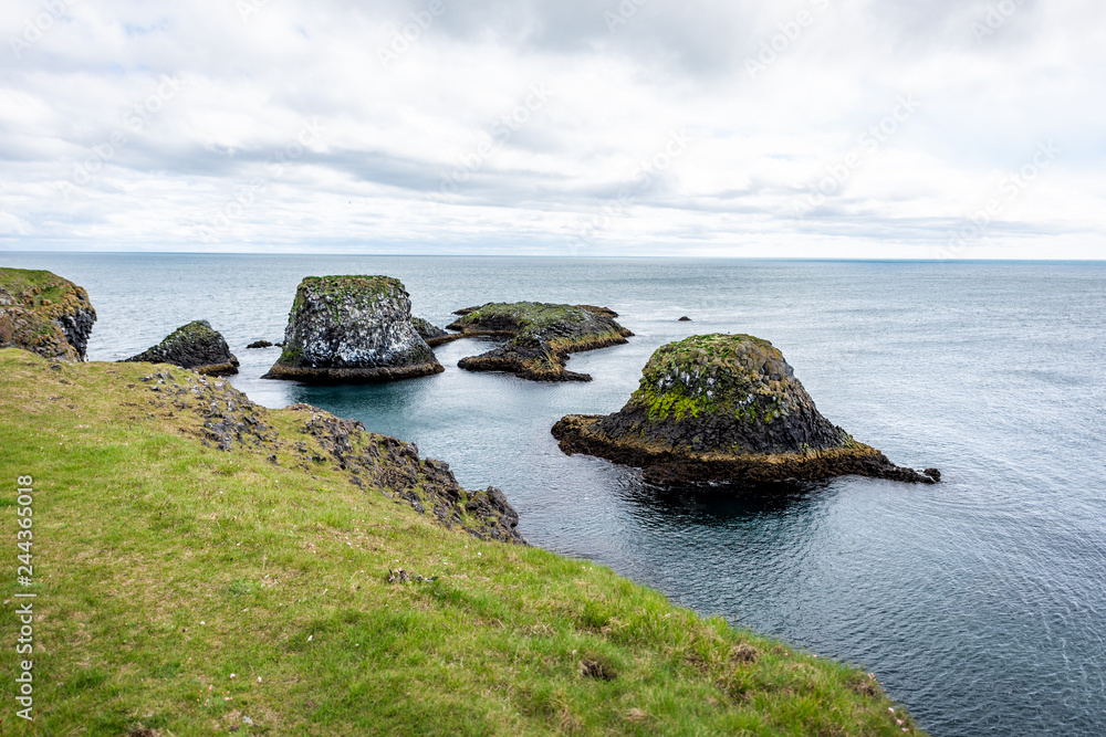 Landscape view rocks in ocean on coast in Hellnar National park Snaefellsnes Peninsula in Iceland with green grass on summer day