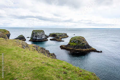 Landscape view rocks in ocean on coast in Hellnar National park Snaefellsnes Peninsula in Iceland with green grass on summer day