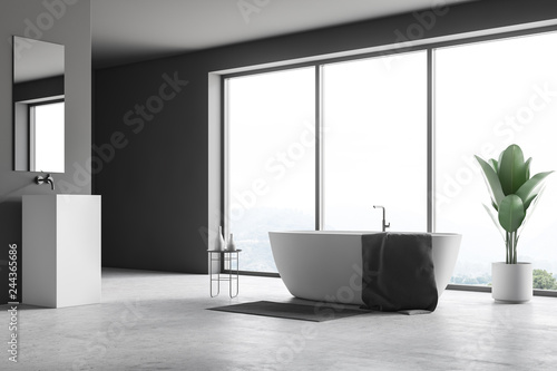 Gray panoramic bathroom  tub and sink