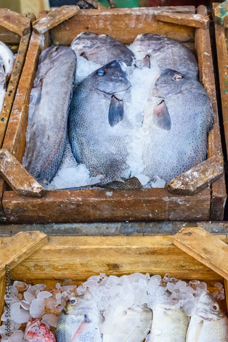 Fish on fish market in a Hurghada city, Egypt