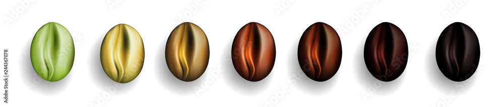 Fototapeta premium Various Stages of Coffee Beans Roasted from Green to Dark Brown