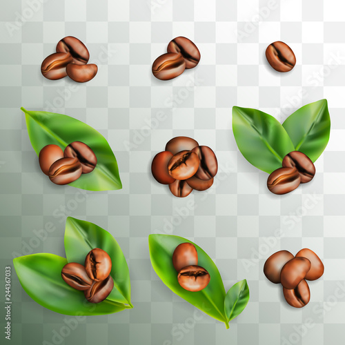 Set of Roasted Coffee Beans with Fresh Coffee Leaves