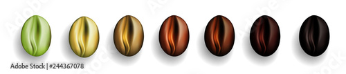 Various Stages of Coffee Beans Roasted from Green to Dark Brown