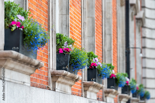 Canvas Print Blue and pink color flower basket box decoration on summer day with brick archit