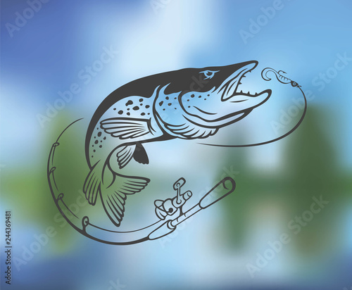 pike fish image
