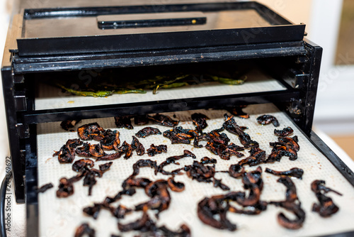 Εκτύπωση καμβά Dehydrator black tray sheets with dehydrated vegetables portobello mushroom slic