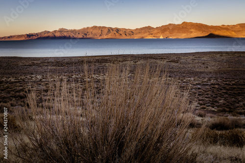 Sagbrush and a Desert Lake