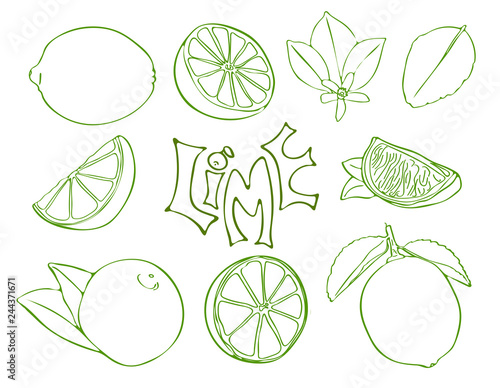 Set of lime vector symbols in sketch style
