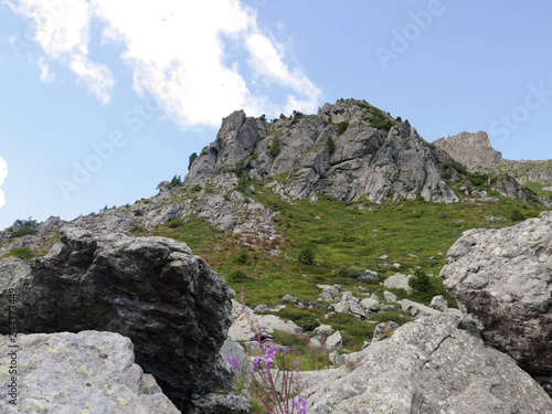 meravigliosa vista delle dolomiti d'estate, tra rocce maestose e verde photo