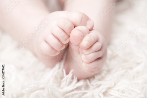 baby foot wool background