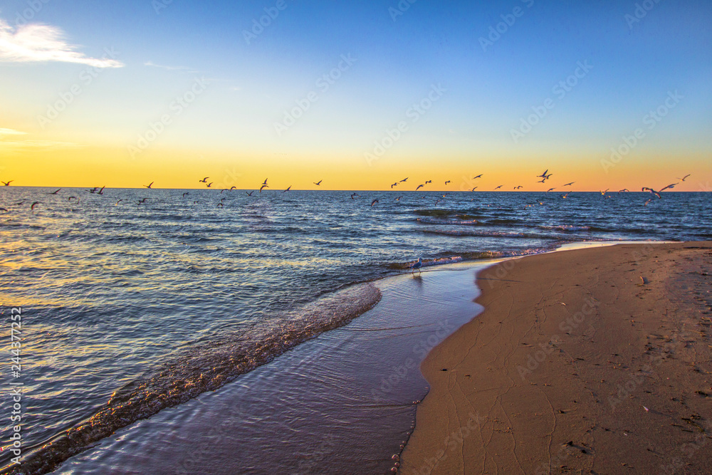 Sunset Beach Background. Seagulls over the blue waters of Lake Michigan with a gorgeous golden sunset at the horizon in Muskegon, Michigan.