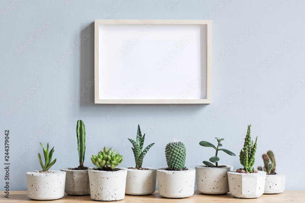 Still life with potted plants on wooden commode Still life with potted plants on wooden commode