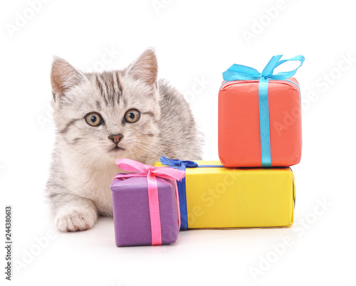 Cat with a gifts.