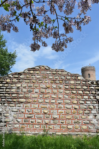  Ruins of Curtea Domneasca (voivodal palace) in Targoviste, ,2017