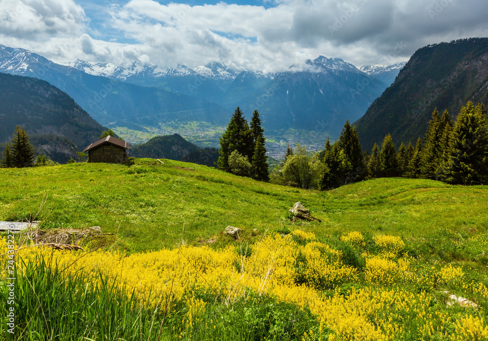 Obraz premium Summer Alps mountain, Switzerland