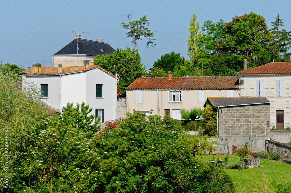 bei Mortagne-sur-Gironde, Frankreich