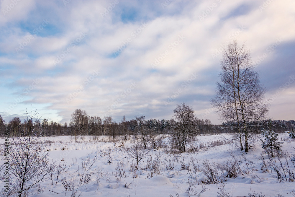Winter landscape with snow-covered trees on a frosty December day. Winter landscape with snow-covered trees on a frosty December day.