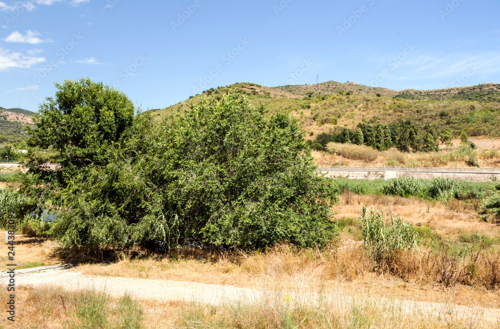 Alella mountains in Barcelona, Spain on a sunny day Alella mountains in Barcelona, Spain on a sunny day
