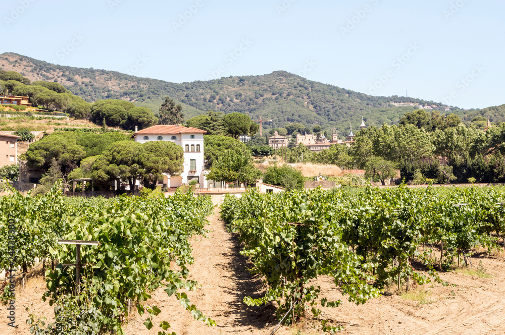 Alella mountains in Barcelona, Spain on a sunny day Alella mountains in Barcelona, Spain on a sunny day