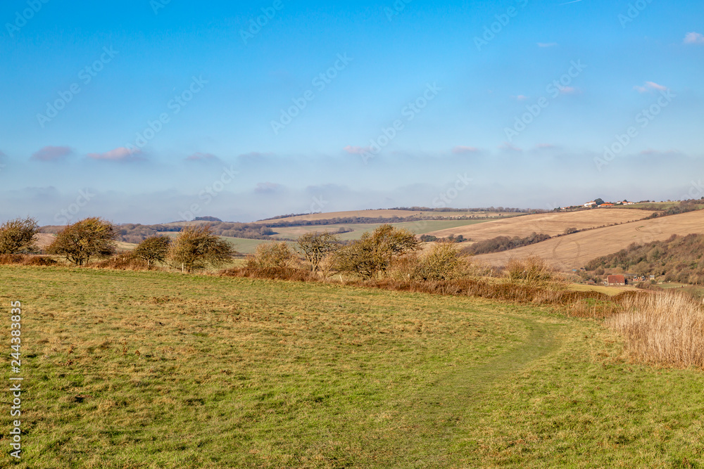 Fototapeta premium A Sussex Winter Landscape