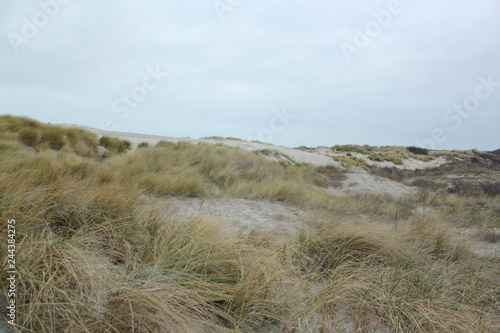Dunes at the coast of the North Sea