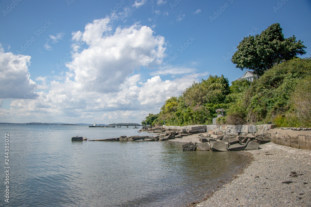 stone wall separating ocean and wooded area stone wall separating ocean and wooded area
