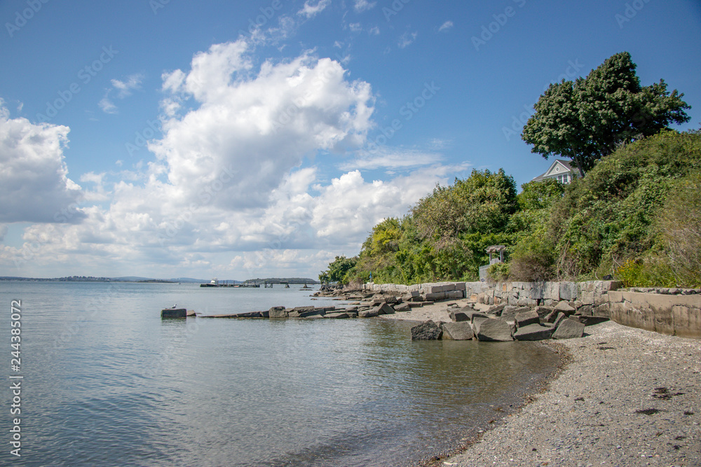 stone wall separating ocean and wooded area