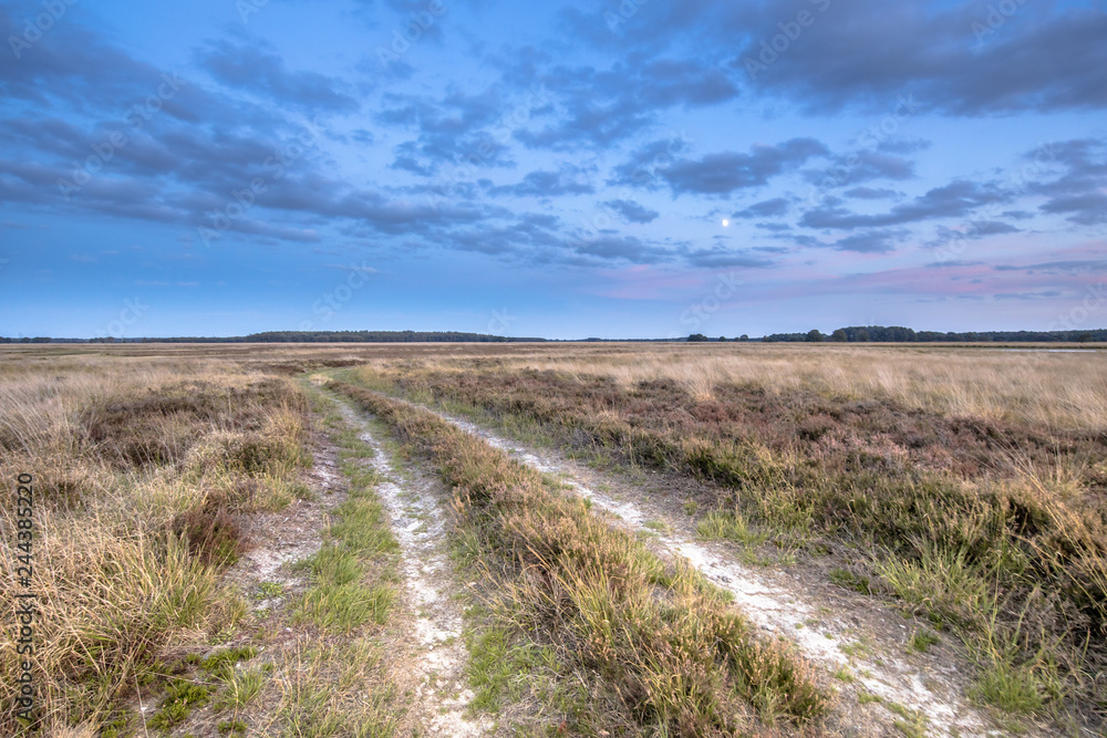 Natural heathland landscape near Hijken