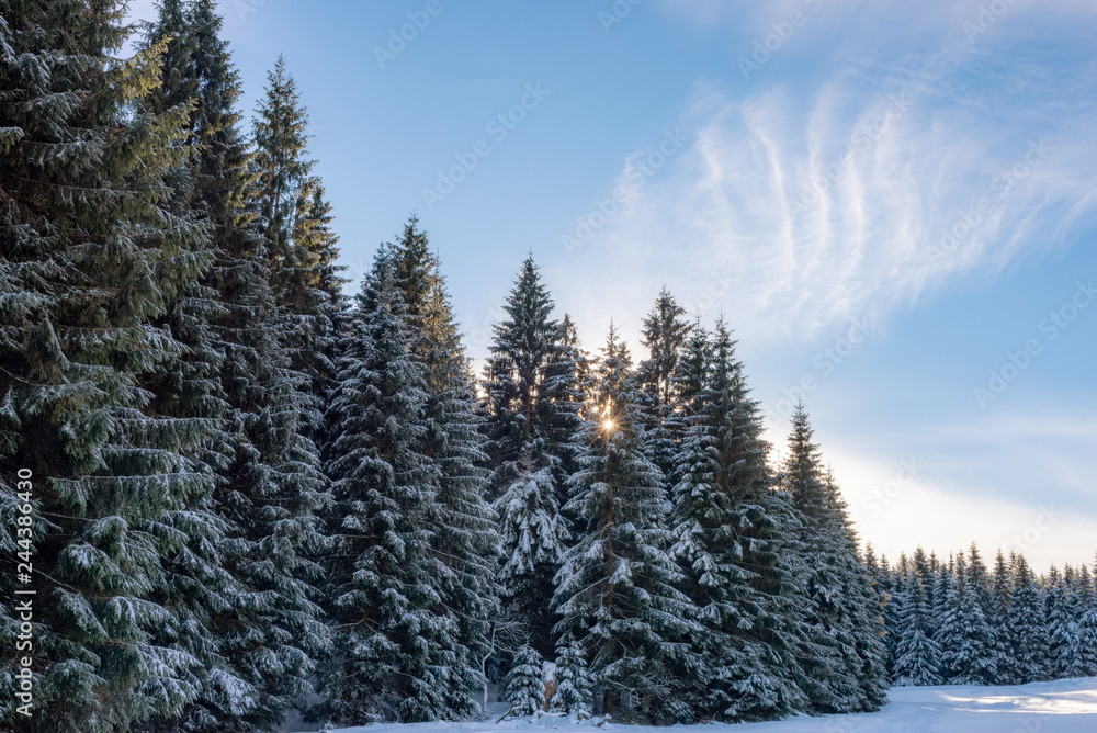 Winter landscape in Thuringia Oberhof