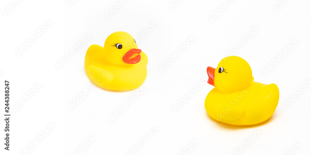 rubber ducks on white background rubber ducks on white background