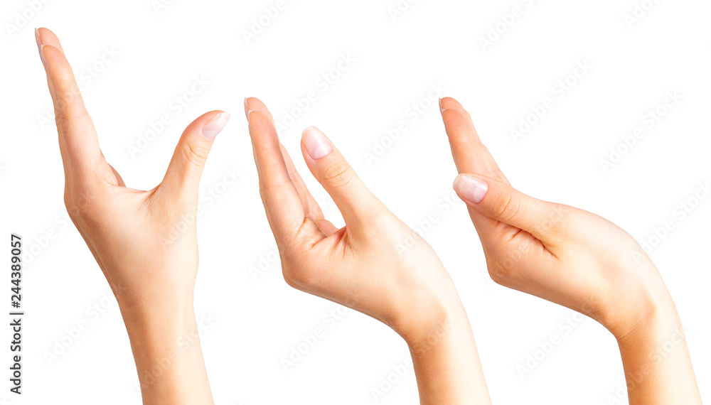 Set of women hands taking or showing something Set of women hands taking or showing something