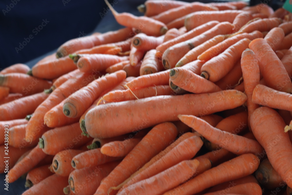 Pile of Orange Carrots in the Market Pile of Orange Carrots in the Market