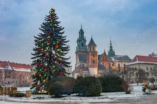 Krakow, Poland, Wawel cathedral and Christmas tree, winter evening