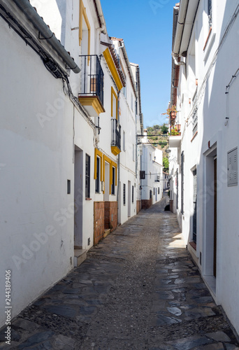 Street in a village of white houses in the Spanish province of Malaga called Casares on a sunny day.