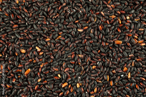 Red rice macro shot, abstract background